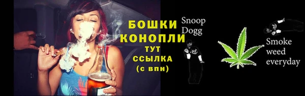 ГАЛЛЮЦИНОГЕННЫЕ ГРИБЫ Бородино
