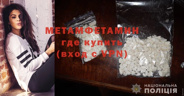 ГАЛЛЮЦИНОГЕННЫЕ ГРИБЫ Бородино